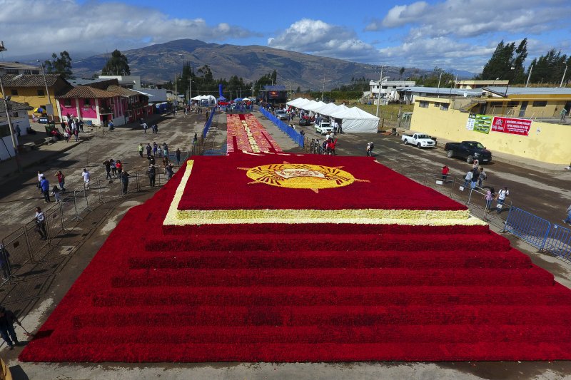 Rose pyramid breaks Guinness World Record in Ecuador